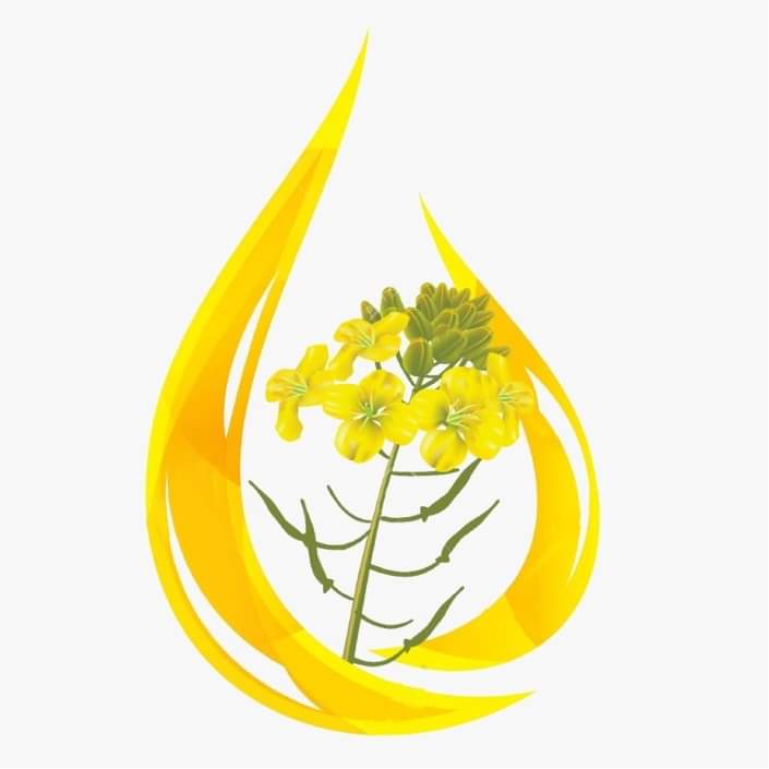 Logo Al Aqsa Oil Mil